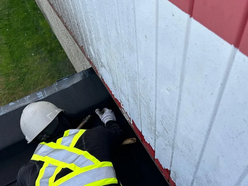 Roof inspection